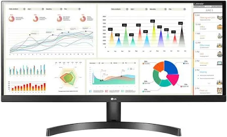 Large Computer Monitor